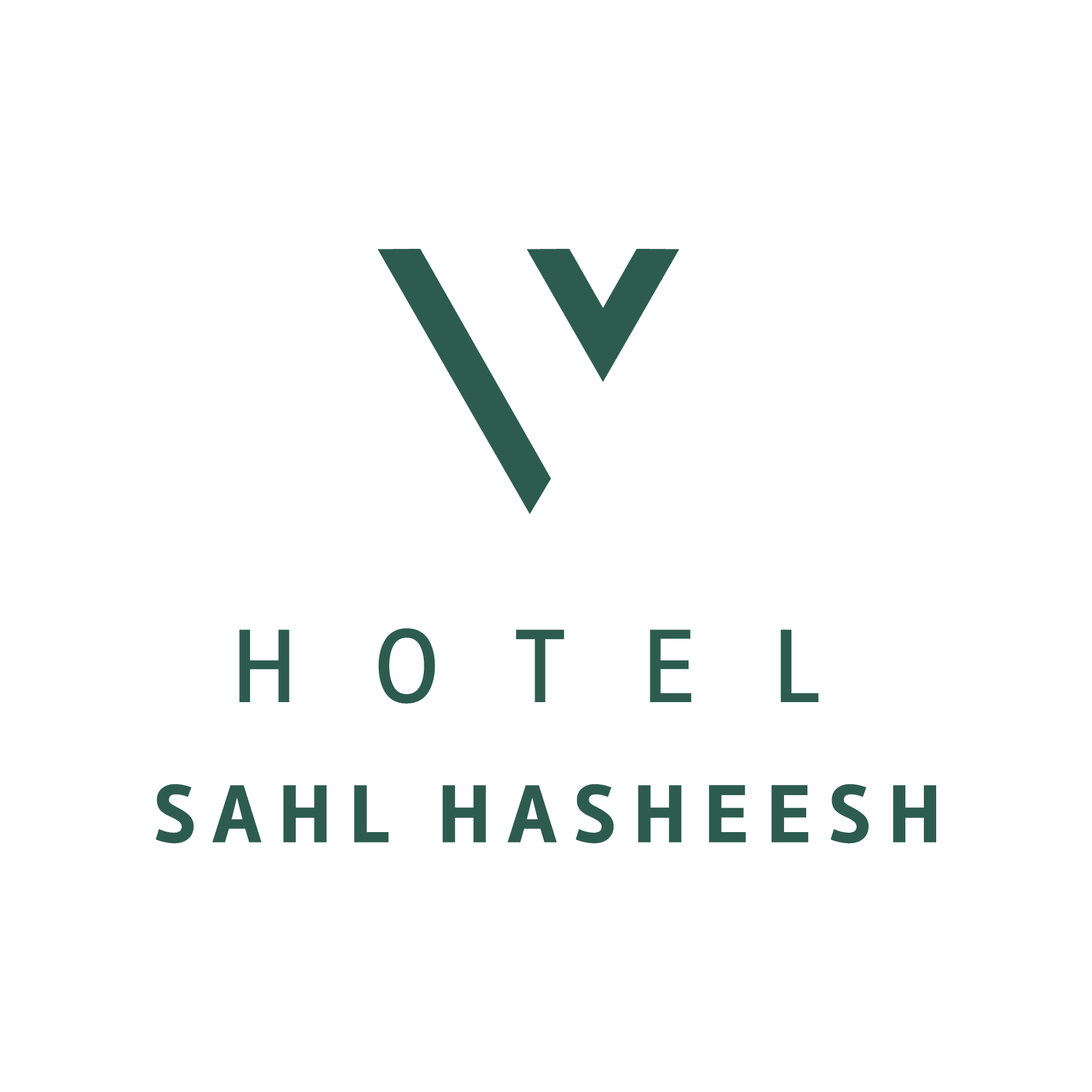 mgo-2027-SAHL HASHEESH-01
